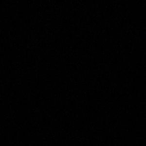 Meet your Posher, Daisy